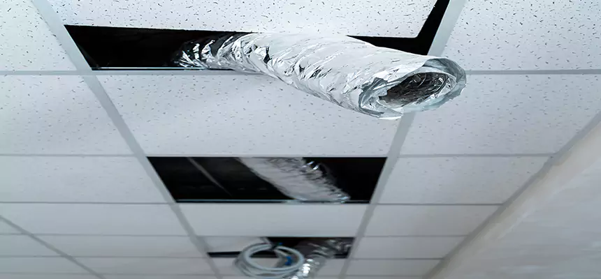 Affordable HVAC Sanitizing After Pest Removal in Hampton