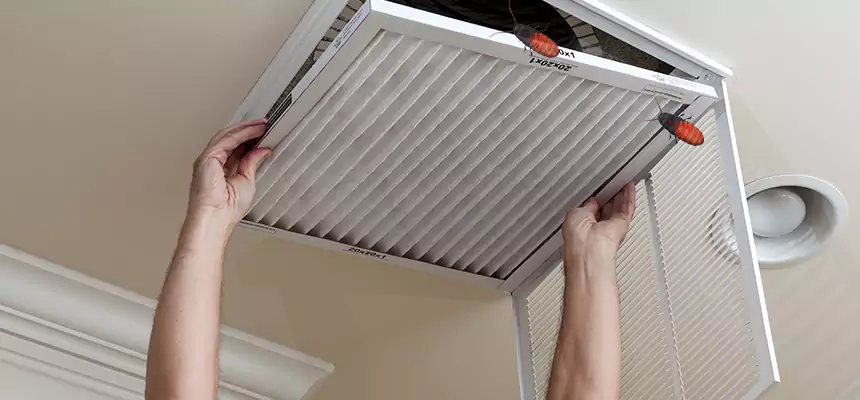 Our Insect Removal from Air Ducts Services in Hampton, VA