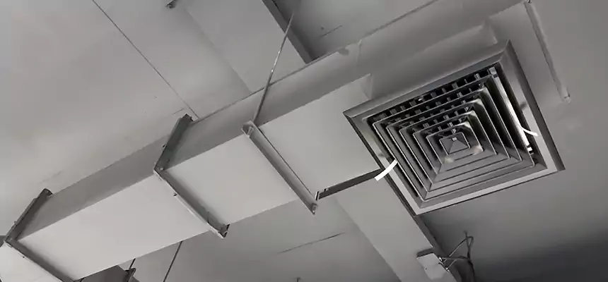 Our Rodent Droppings In Vents Services in Hampton, VA