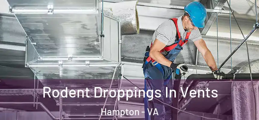 Rodent Droppings In Vents Hampton - VA
