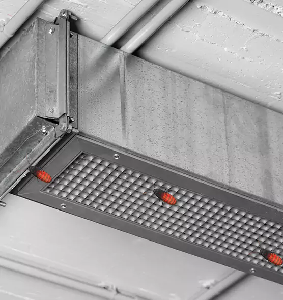 About Air Duct Cockroach Removal in Hampton, VA