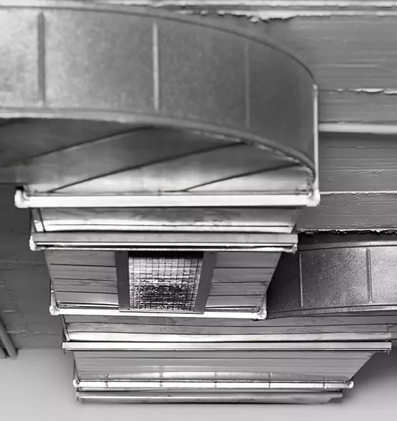 Professional Air Duct Pest Removal in Hampton, VA