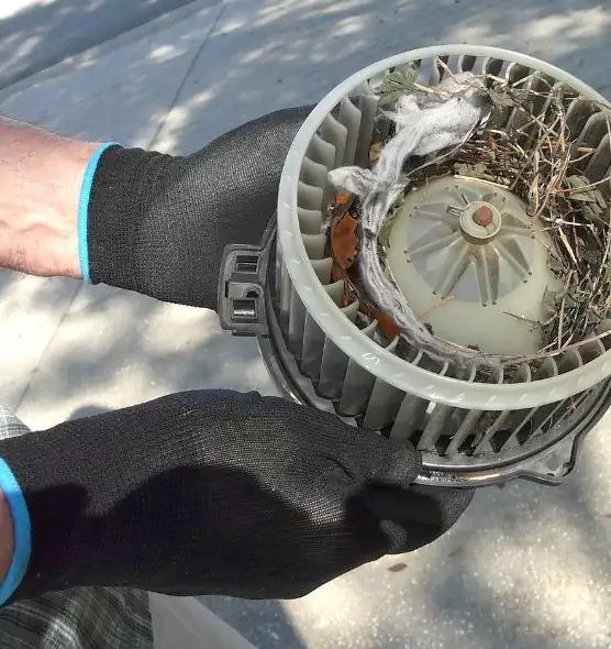 About Air Duct Rat Removal in Hampton, VA