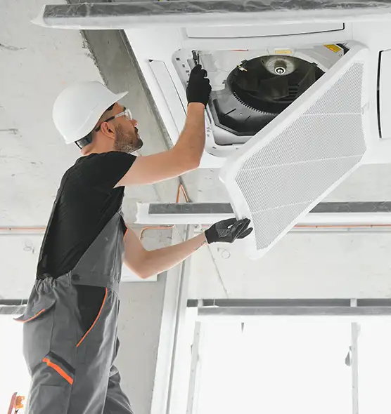 About Air Duct Rodent Removal in Hampton, VA