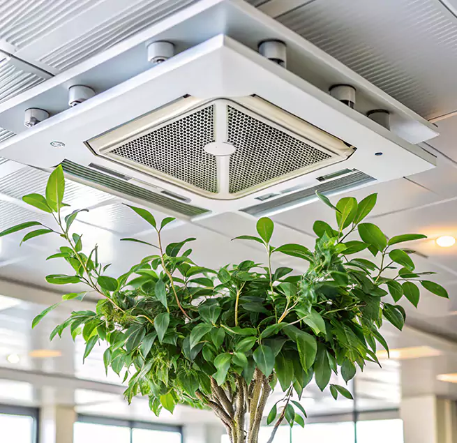 Why Homeowners & Businesses Trust Us in Hampton, VA