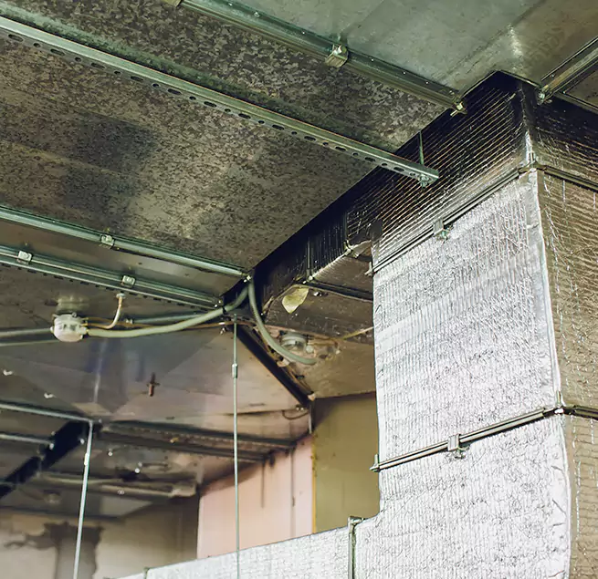 Why Homeowners & Businesses Trust Us in Hampton, VA?